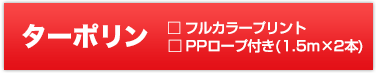 ターポリン フルカラープリント PPロープ付き(1.5m×2本)